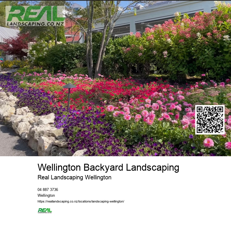 Synthetic Turf Wellington