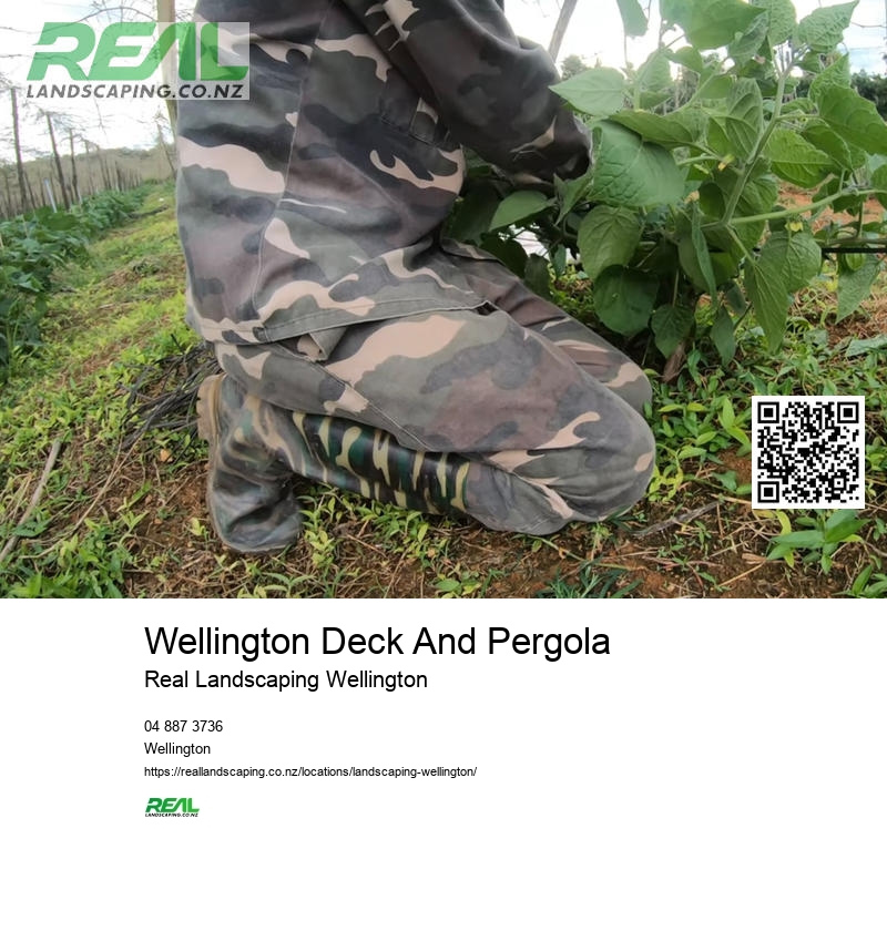 Deck Builder Wellington