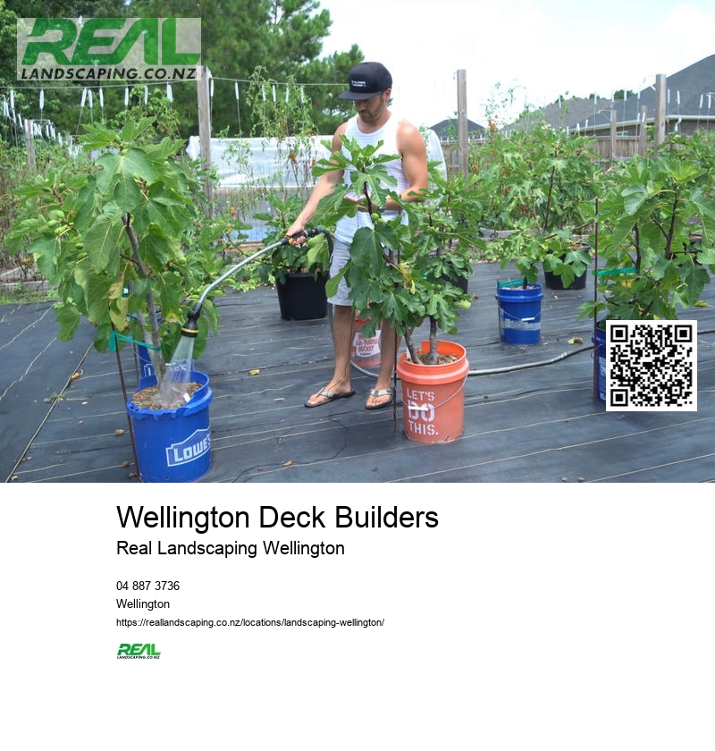 Wellington Garden Planting Design