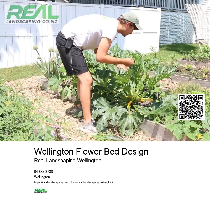 Landscaping Wellington New Zealand