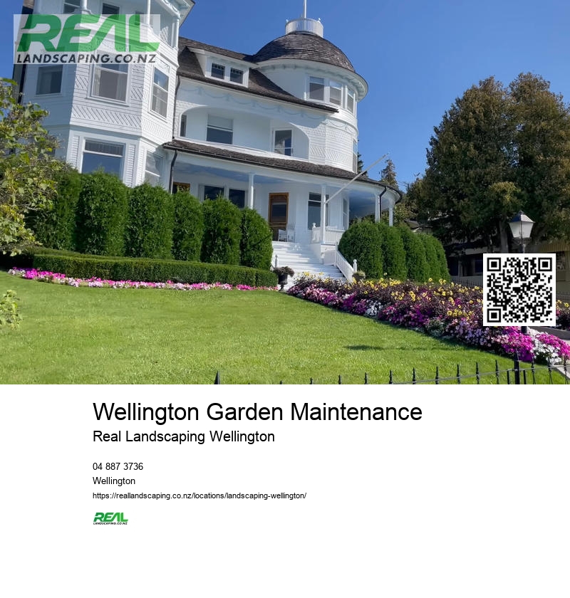 Artificial Grass Installation NZ
