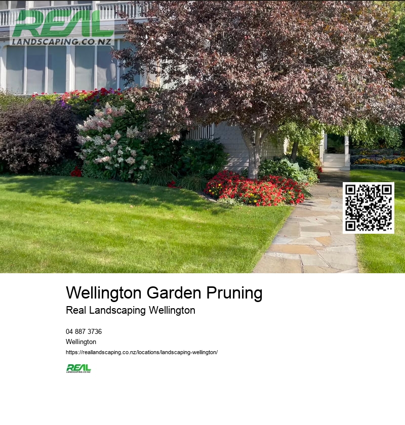 Landscape Architecture Wellington