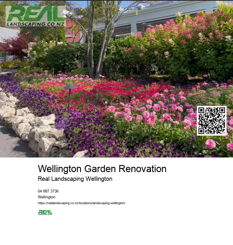 Deck Builder Wellington