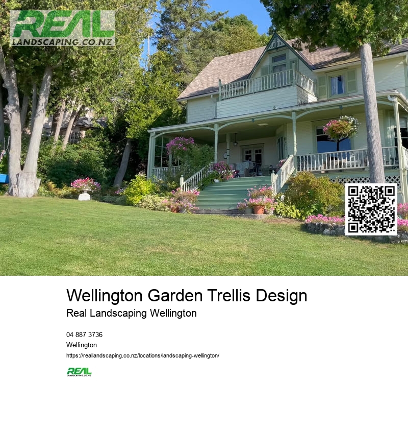 Artificial Grass Wellington