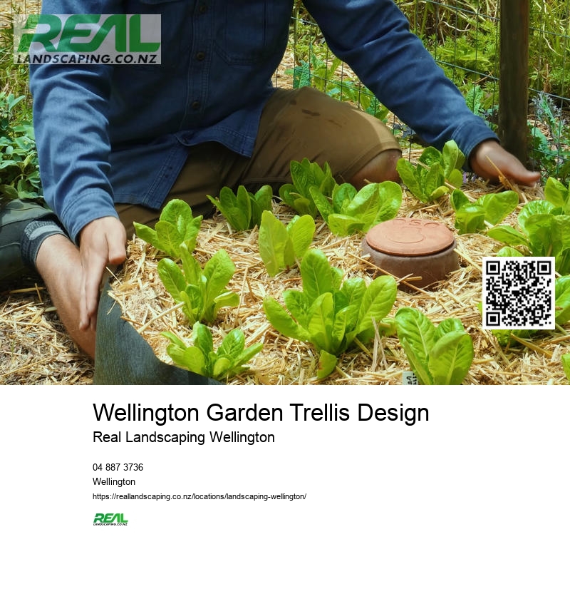 Wellington Landscape Maintenance