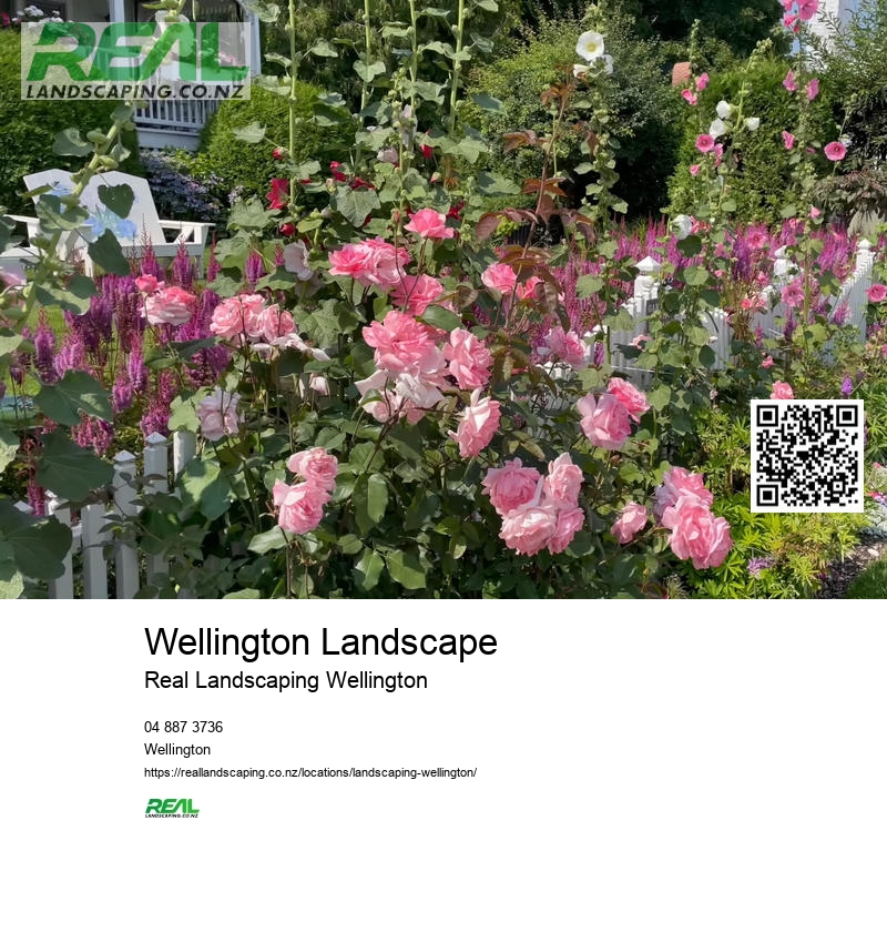 Wellington Hydroseeding