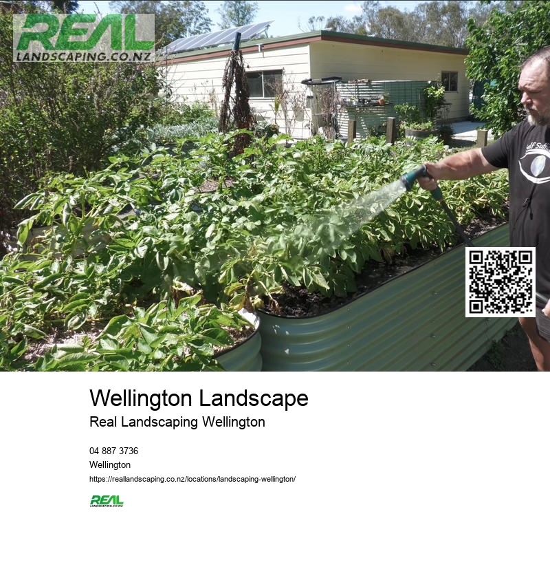 Lawn Irrigation System NZ