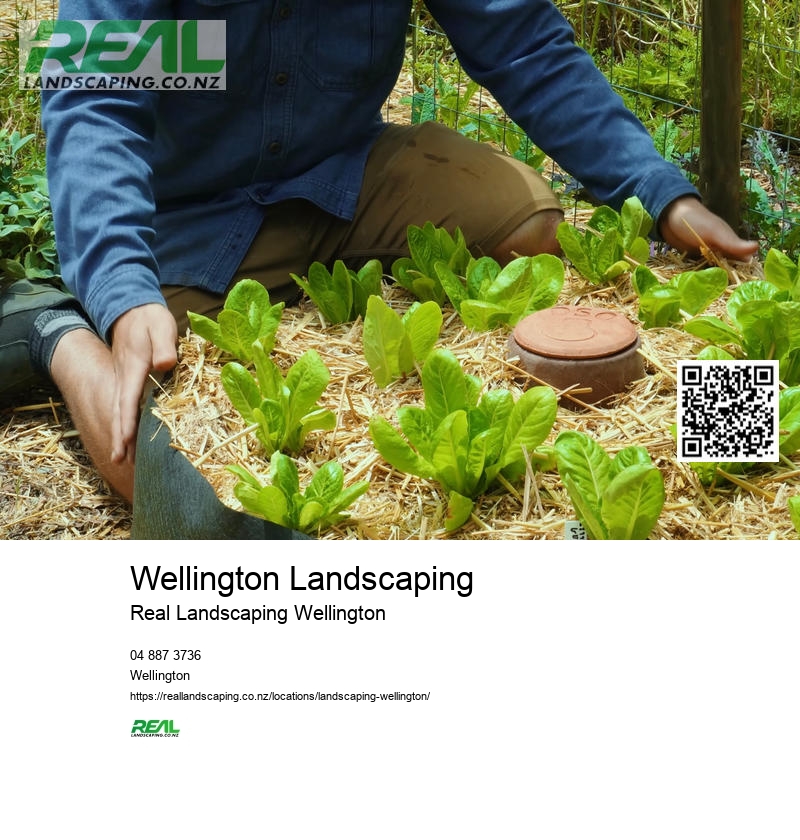 Commercial Landscaping NZ