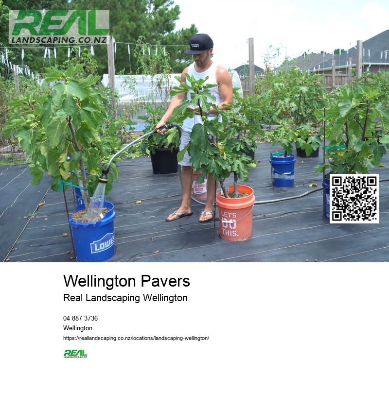 Irrigation System Wellington NZ