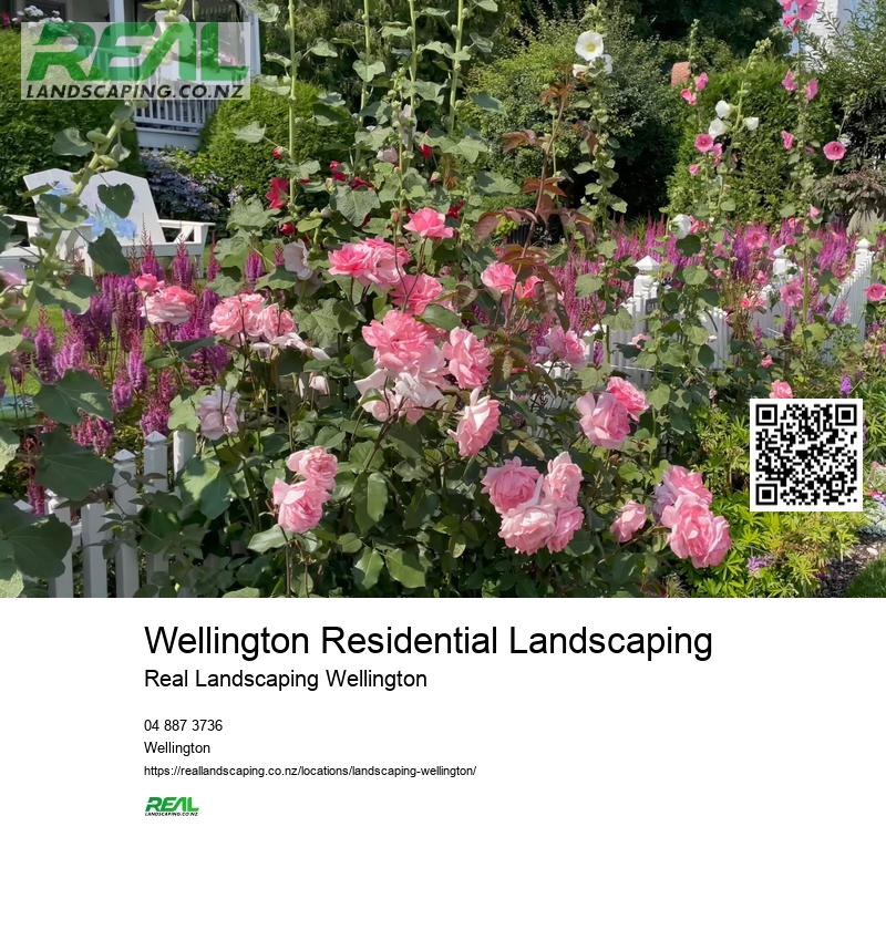 Garden Maintenance Wellington NZ