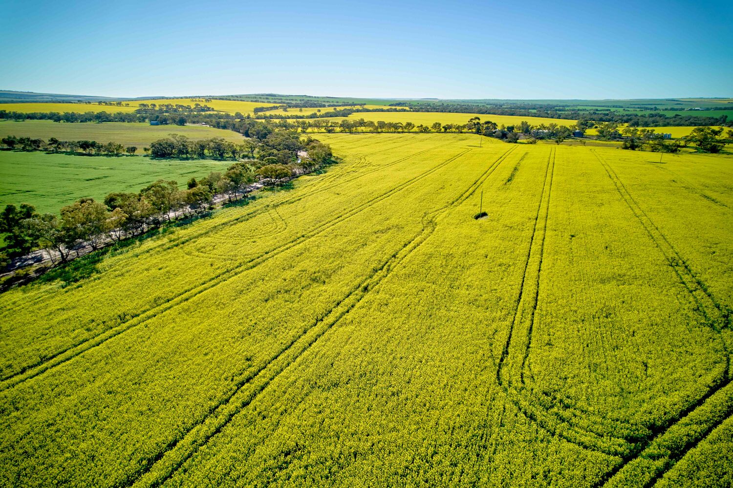 Nature, Field, Outdoors, Grassland, Countryside, Land, Farm, Rural, Meadow, Pasture