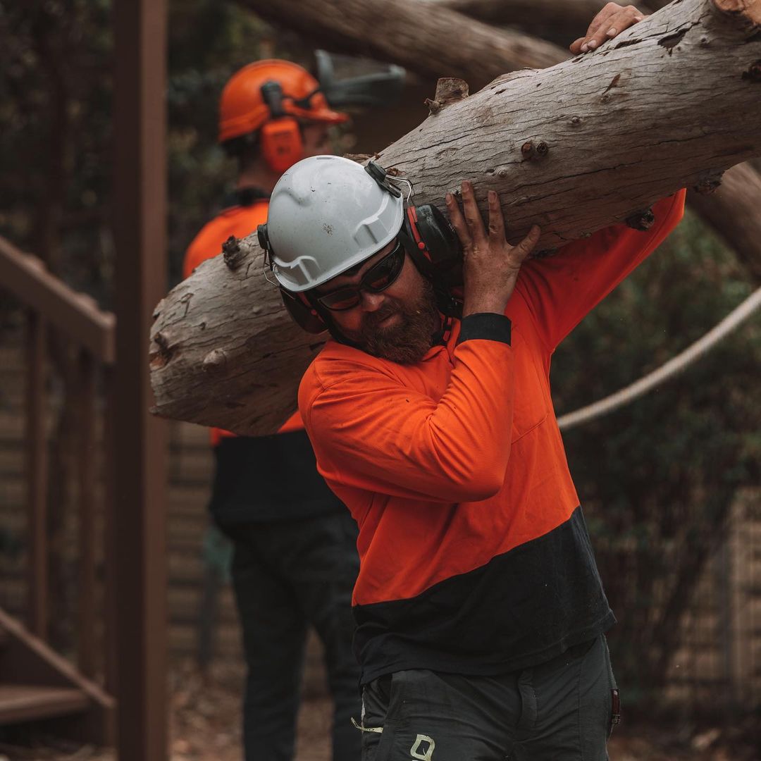 Stump Removal Sutherland