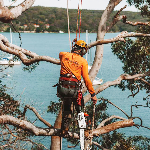 Sutherland Stump Grinding