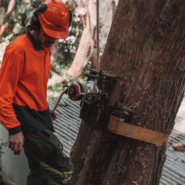 Sutherland Shire Stump Removal