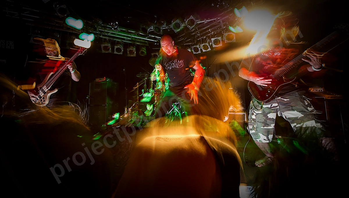 1_animistic_amps_wf_wyliepic_1_12_25.png