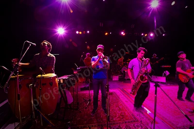 The Black Seeds