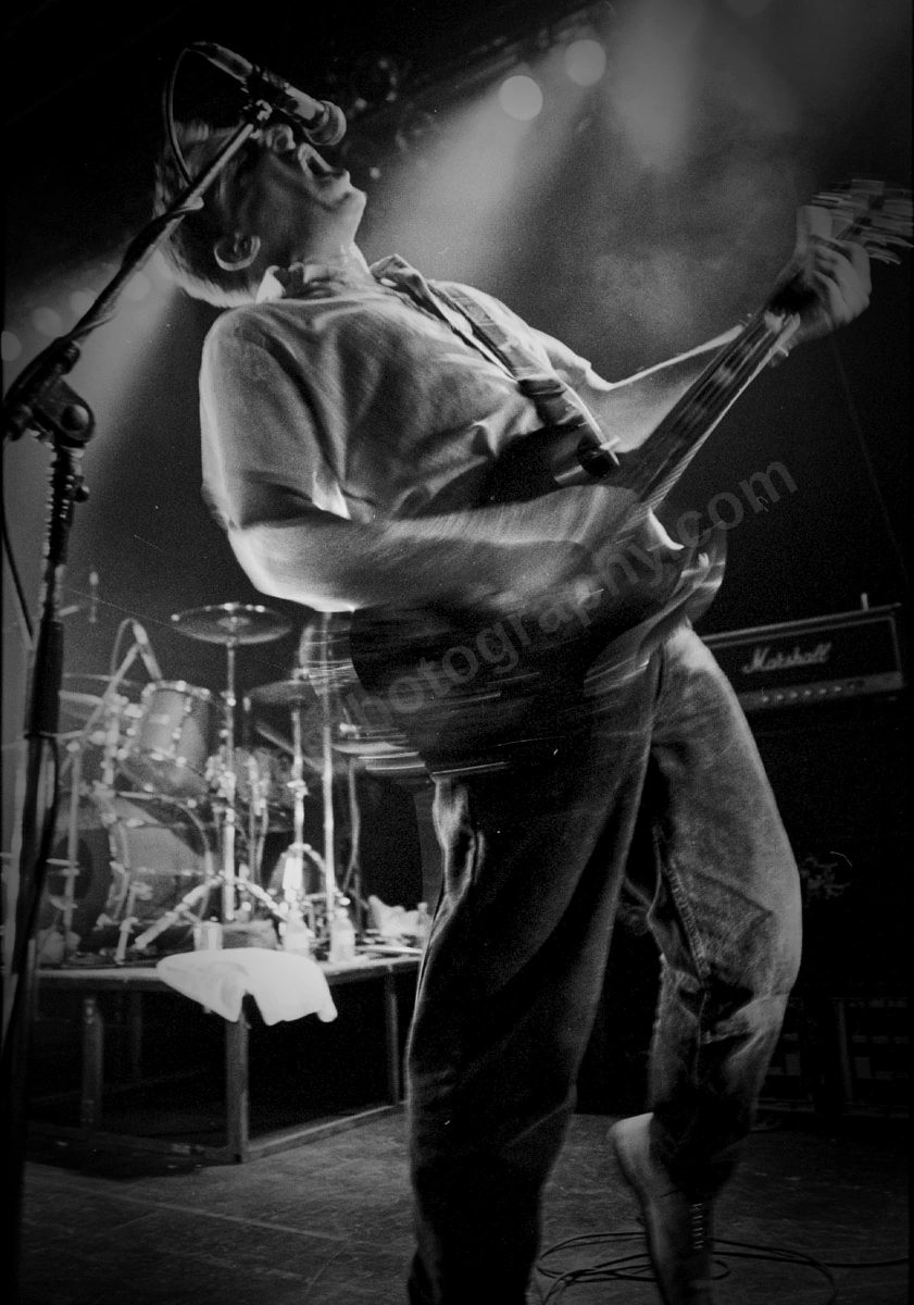 1_buffalo_tom_950_wyliepic_ 00.jpg