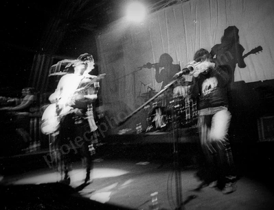 The Dandy Warhols