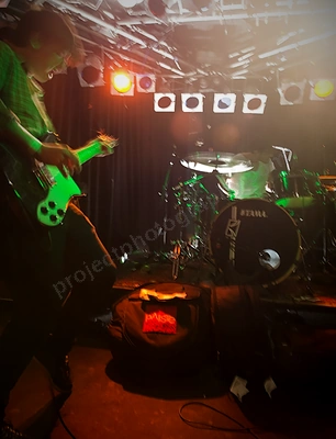 Dead Owls