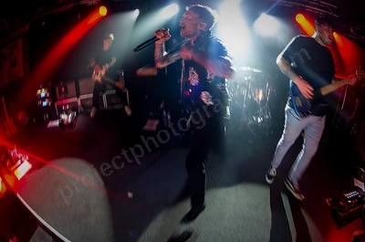 Frank Carter And The Rattlesnakes