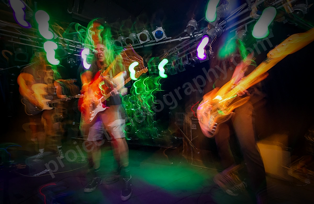 1_good_doogs_amp_wyliepic_26_10_18_29.png