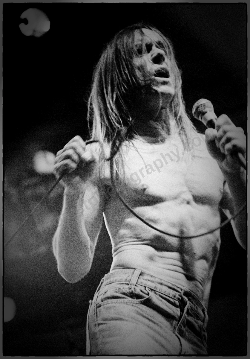 1_iggy_pop_bdo_430_20a_wyliepic_1_94_00 copy.jpg