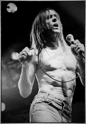 Iggy Pop