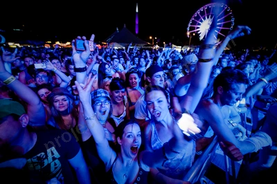 1_movement_crowd__ferris_wheel_wyliepic_2010_00_1.jpg
