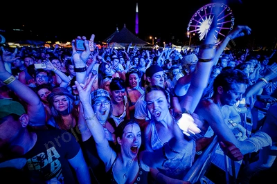 1_movement_crowd__ferris_wheel_wyliepic_2010_00.jpg
