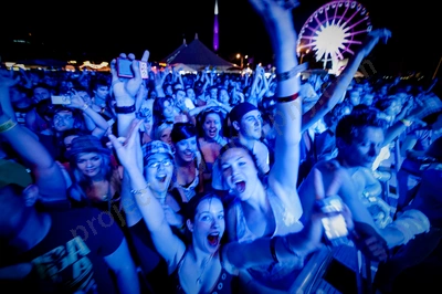 1_movement_crowd__ferris_wheel_wyliepic_2010_01_1.jpg