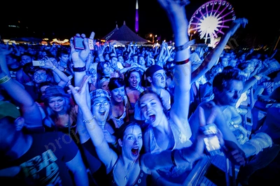 1_movement_crowd__ferris_wheel_wyliepic_2010_01.jpg