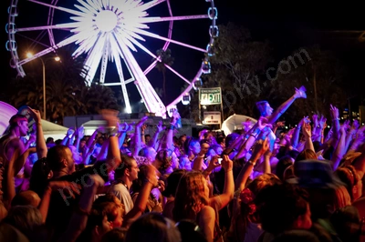 1_movement_crowd__ferris_wheel_wyliepic_2010_03_1.jpg