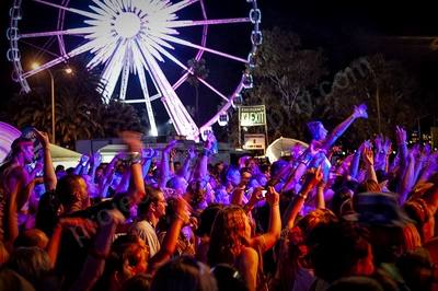 1_movement_crowd__ferris_wheel_wyliepic_2010_03.jpg