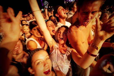 1_movement_crowd_wyliepic_2010_001_2.jpg