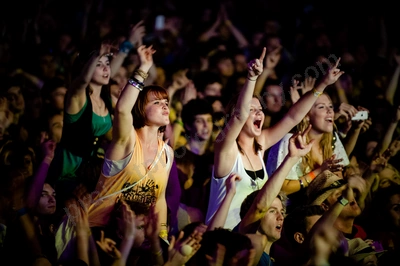 1_movement_crowd_wyliepic_2010_013_1.jpg