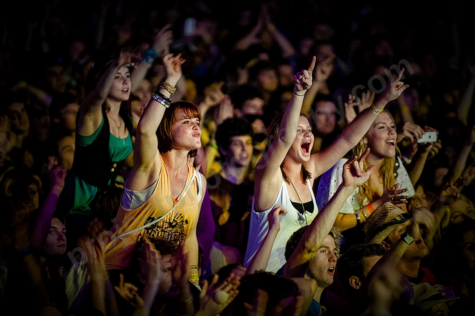 1_movement_crowd_wyliepic_2010_013.jpg