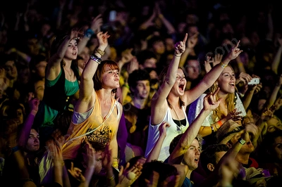 1_movement_crowd_wyliepic_2010_013.jpg