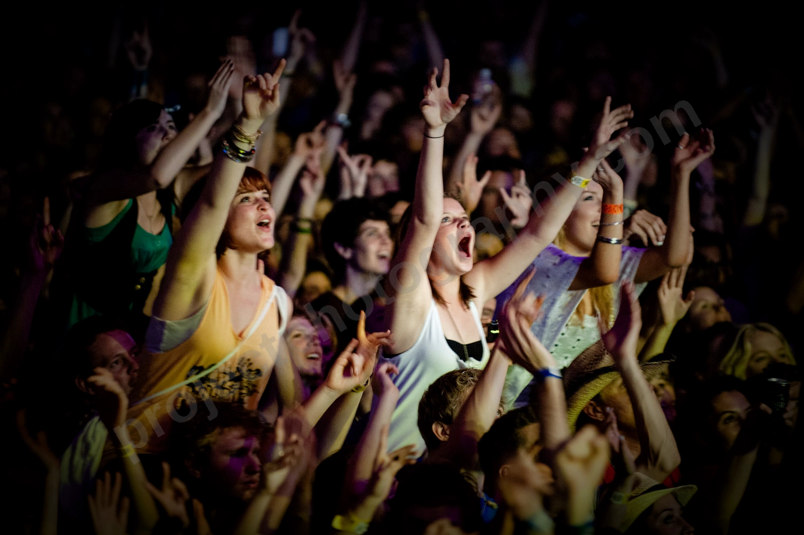 1_movement_crowd_wyliepic_2010_016_1.jpg