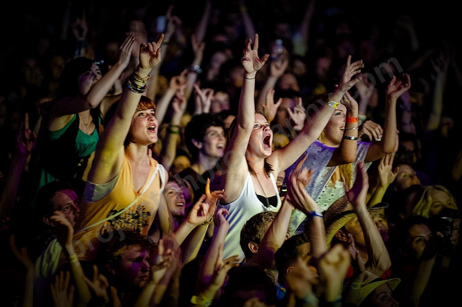 1_movement_crowd_wyliepic_2010_016.jpg