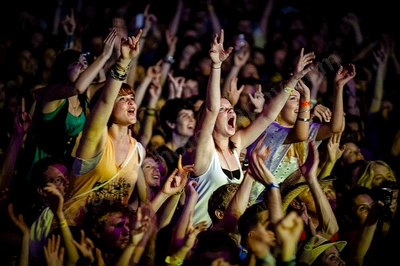 1_movement_crowd_wyliepic_2010_016.jpg