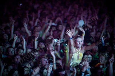 1_movement_crowd_wyliepic_2010_029_2.jpg