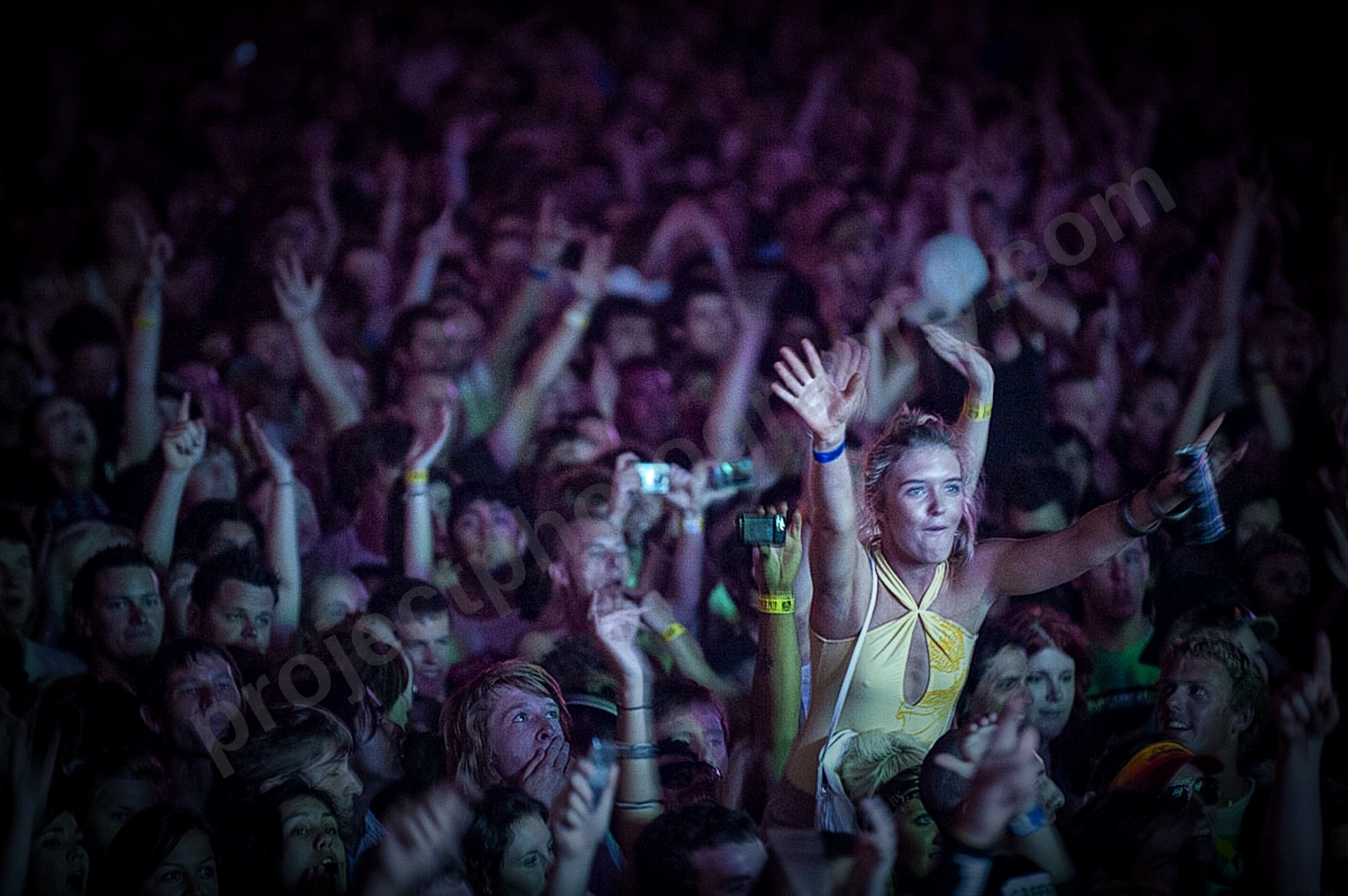 1_movement_crowd_wyliepic_2010_029.jpg