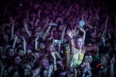 1_movement_crowd_wyliepic_2010_029.jpg