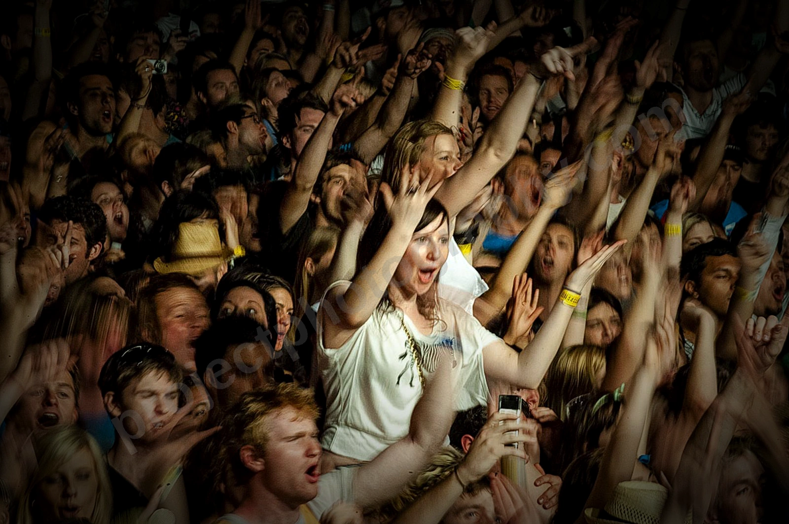 1_movement_crowd_wyliepic_2010_033_1.jpg