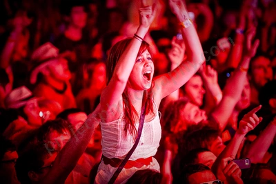 1_movement_crowd_wyliepic_2010_044_1.jpg