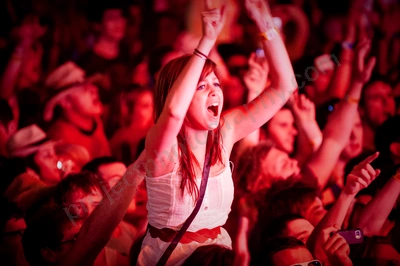 1_movement_crowd_wyliepic_2010_044_2.jpg