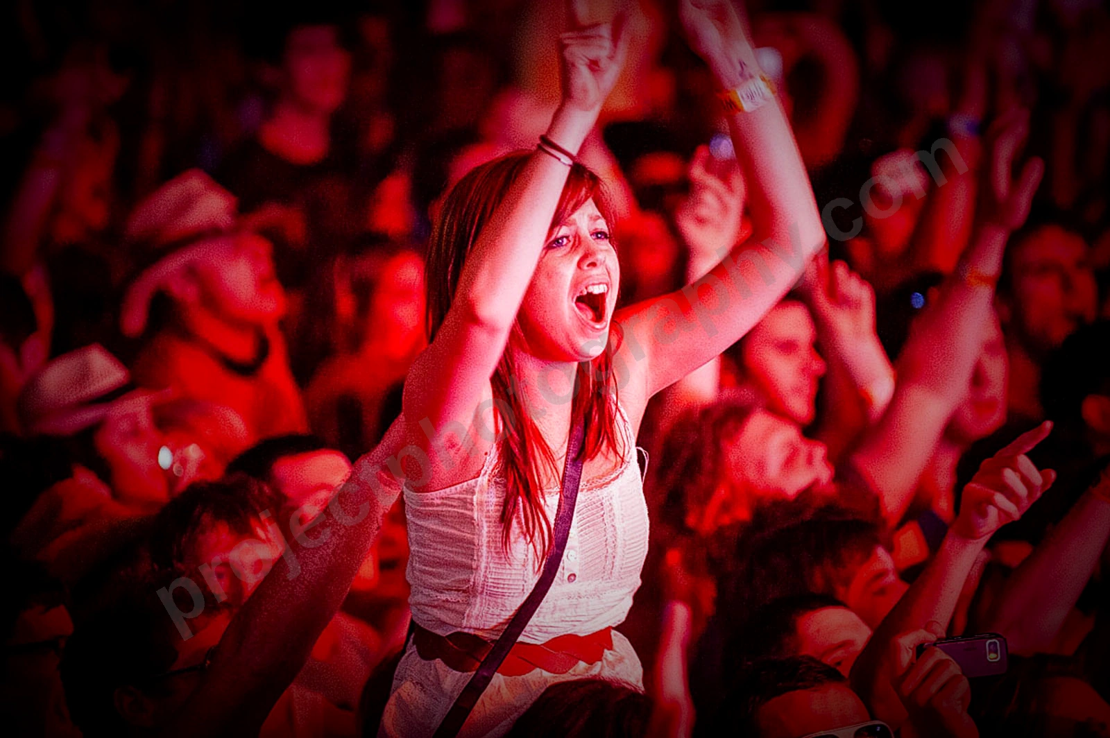 1_movement_crowd_wyliepic_2010_044.jpg