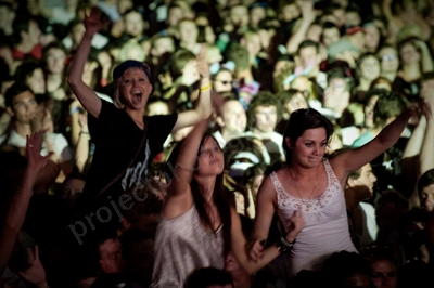 1_movement_crowd_wyliepic_2010_060_2.jpg