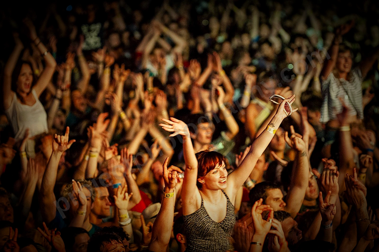 1_movement_crowd_wyliepic_2010_069_1.jpg