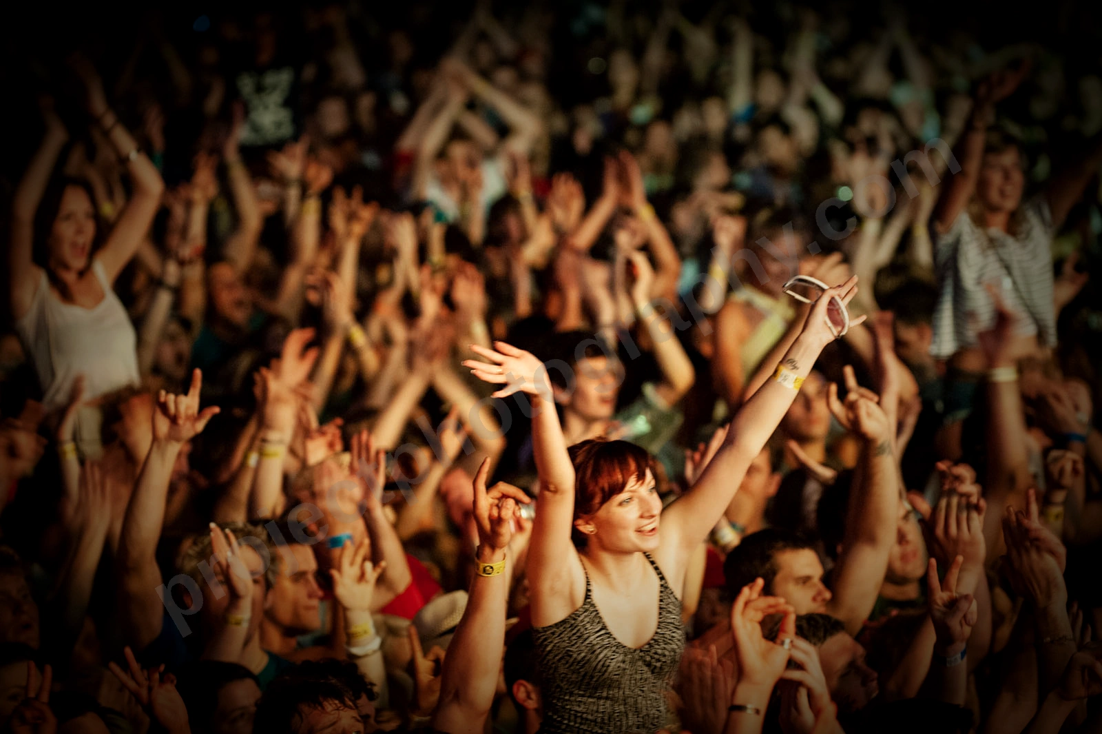 1_movement_crowd_wyliepic_2010_069_2.jpg